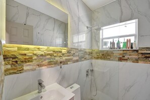 Shower, hair dryer, soap, shampoo