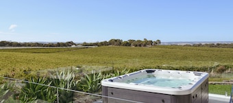 Breathtaking vineyard views