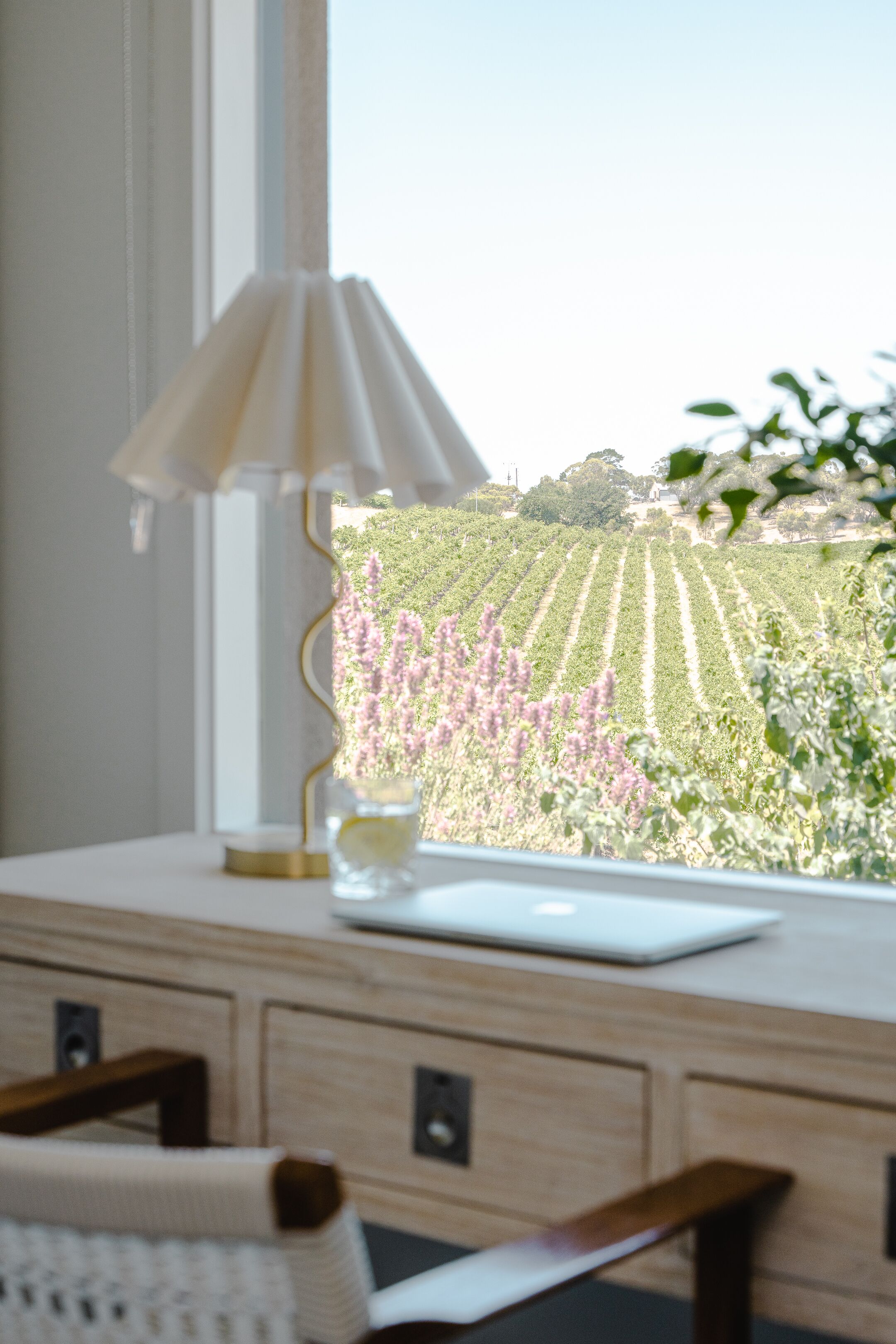 Breathtaking vineyard views — image 9