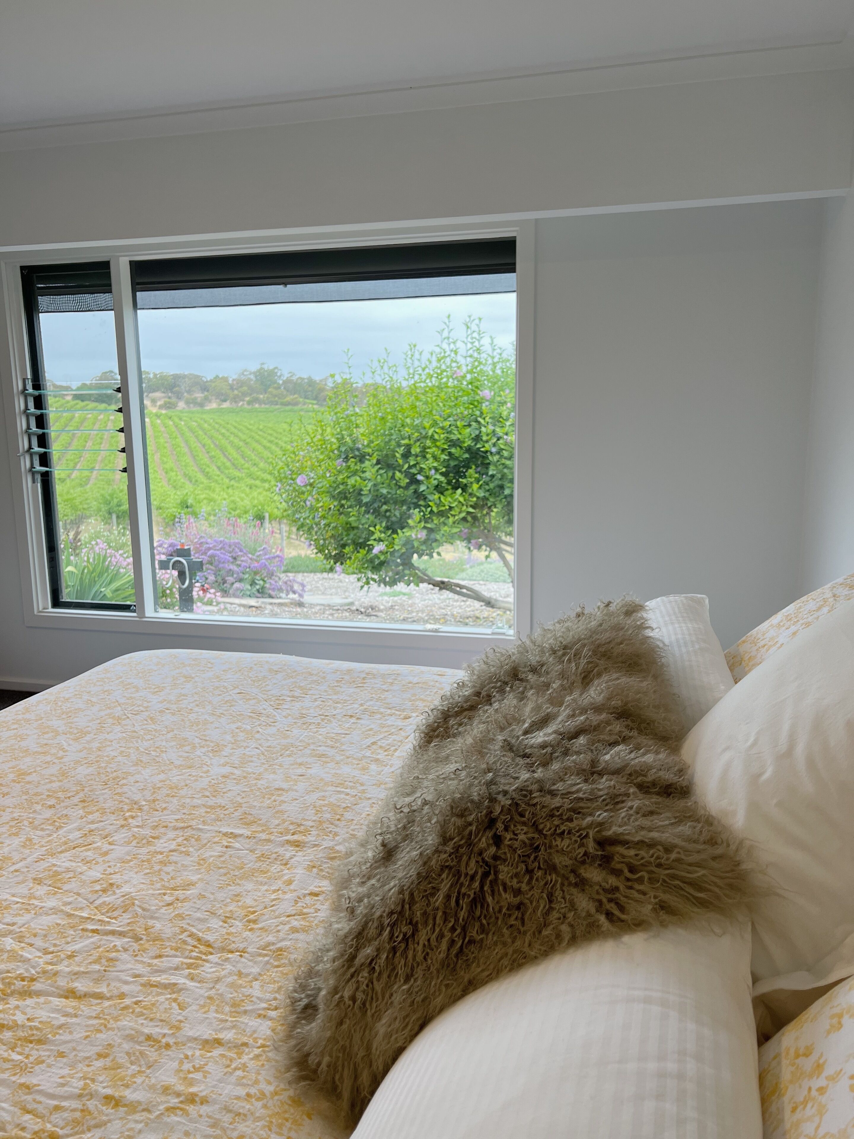 Breathtaking vineyard views — image 16