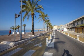 A coastal street with palm trees, a pedestrian path, and a building with a sign that reads "Le Cambon".