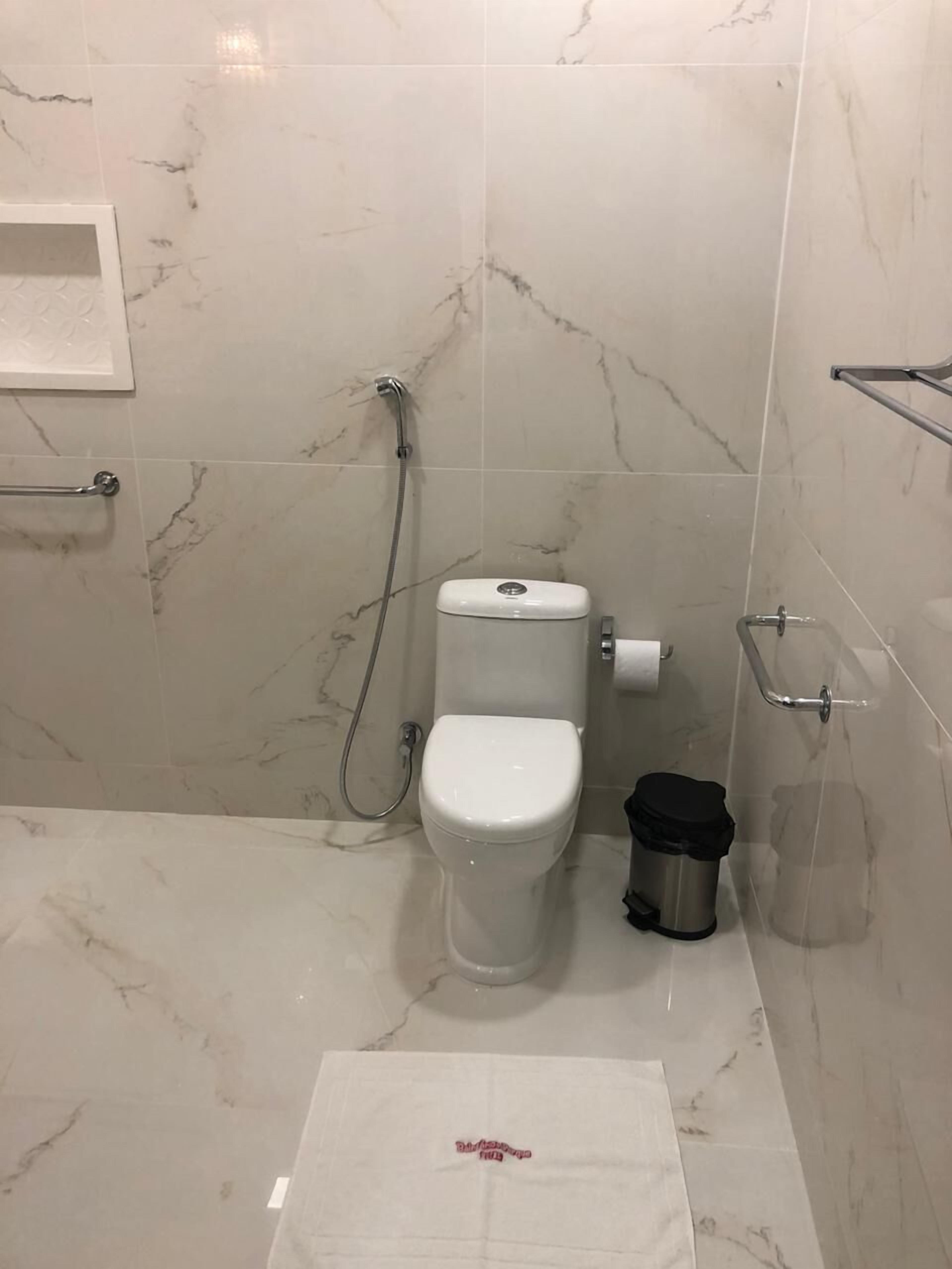 A bathroom with a toilet, shower, and handrail.