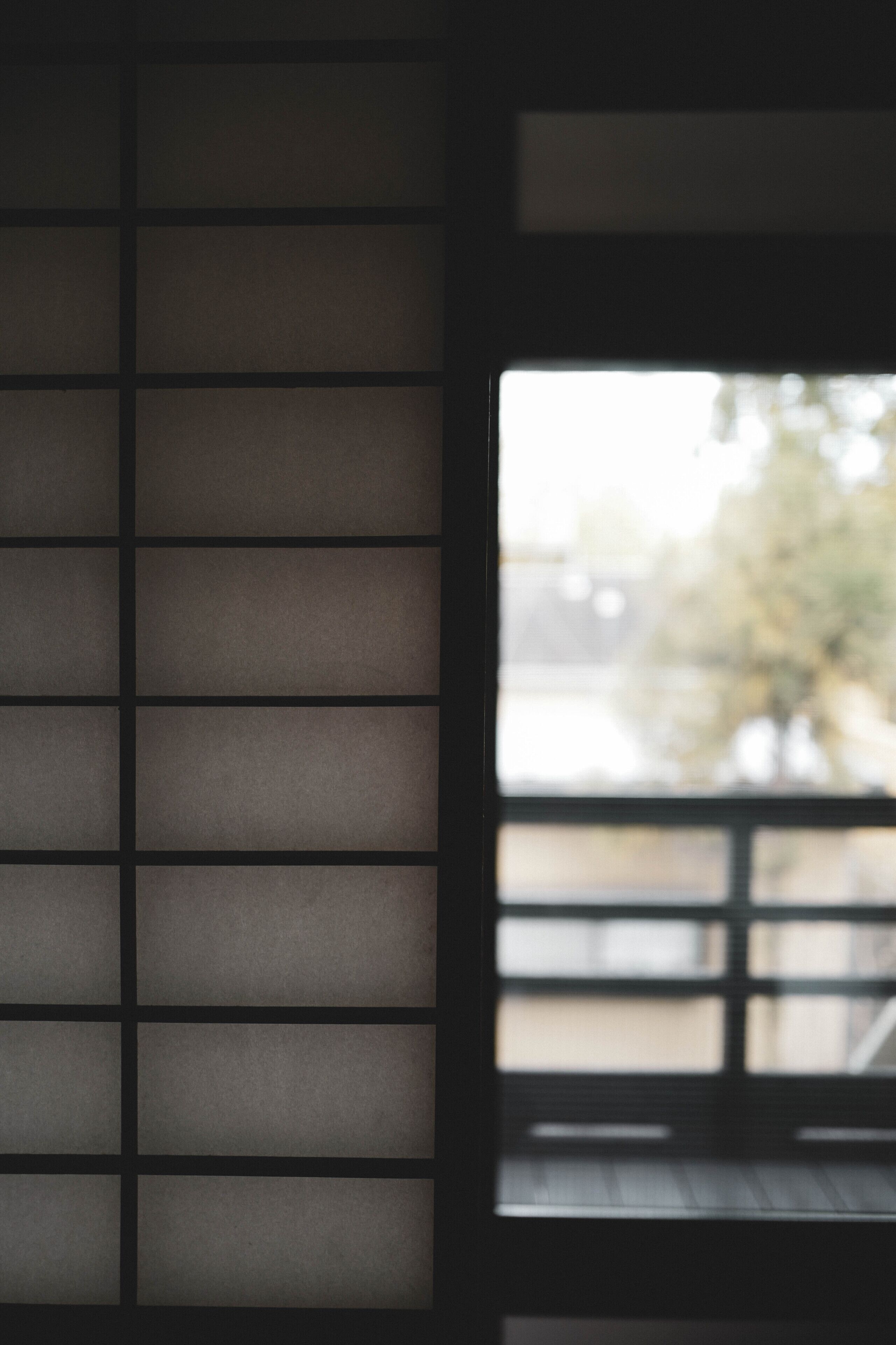 A room with a traditional Japanese shoji screen door, a wooden floor, and a view of a tree outside.
