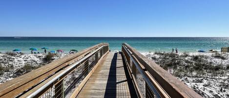 بالقرب من الشاطئ