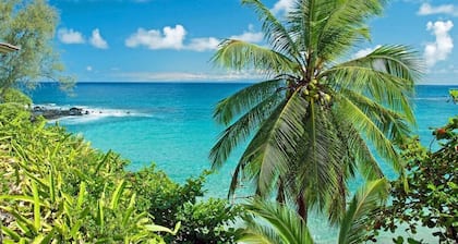 HL B204 Beachy Chic Updated OceanFront 2BD