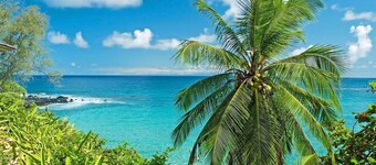 HL B204 Beachy Chic Updated OceanFront 2BD