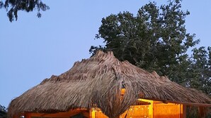 Un bar exterior amb teulada de palla, llums penjants i envoltat de verdura i arbres.