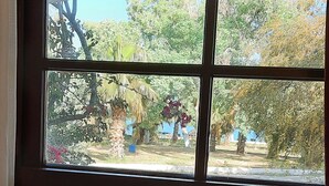 Finestra amb vista a zona exterior que inclou taula i cadires, envoltada de vegetació i arbres.