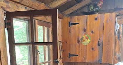 Buckwild Cabin; Au Sable river/Kirtland Warbler/BullGap/Wolf Creek/UTV/Kayaking