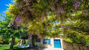 A stone building with blue shutters, a hammock, and wisteria hanging over a pathway.