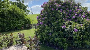 Un jardín exuberante con diversos arbustos verdes y flores moradas, una valla de madera y una colina cubierta de césped al fondo.