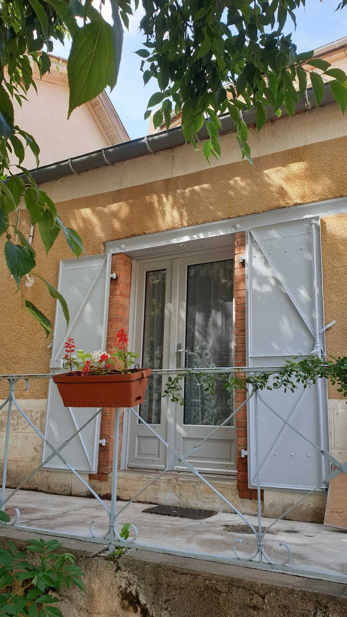Image de profil de l’hôte