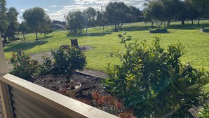 Un jardín con diversas plantas y un comedero para pájaros.