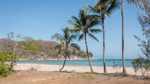 Une plage bordée de palmiers, offrant une vue dégagée sur l’océan.