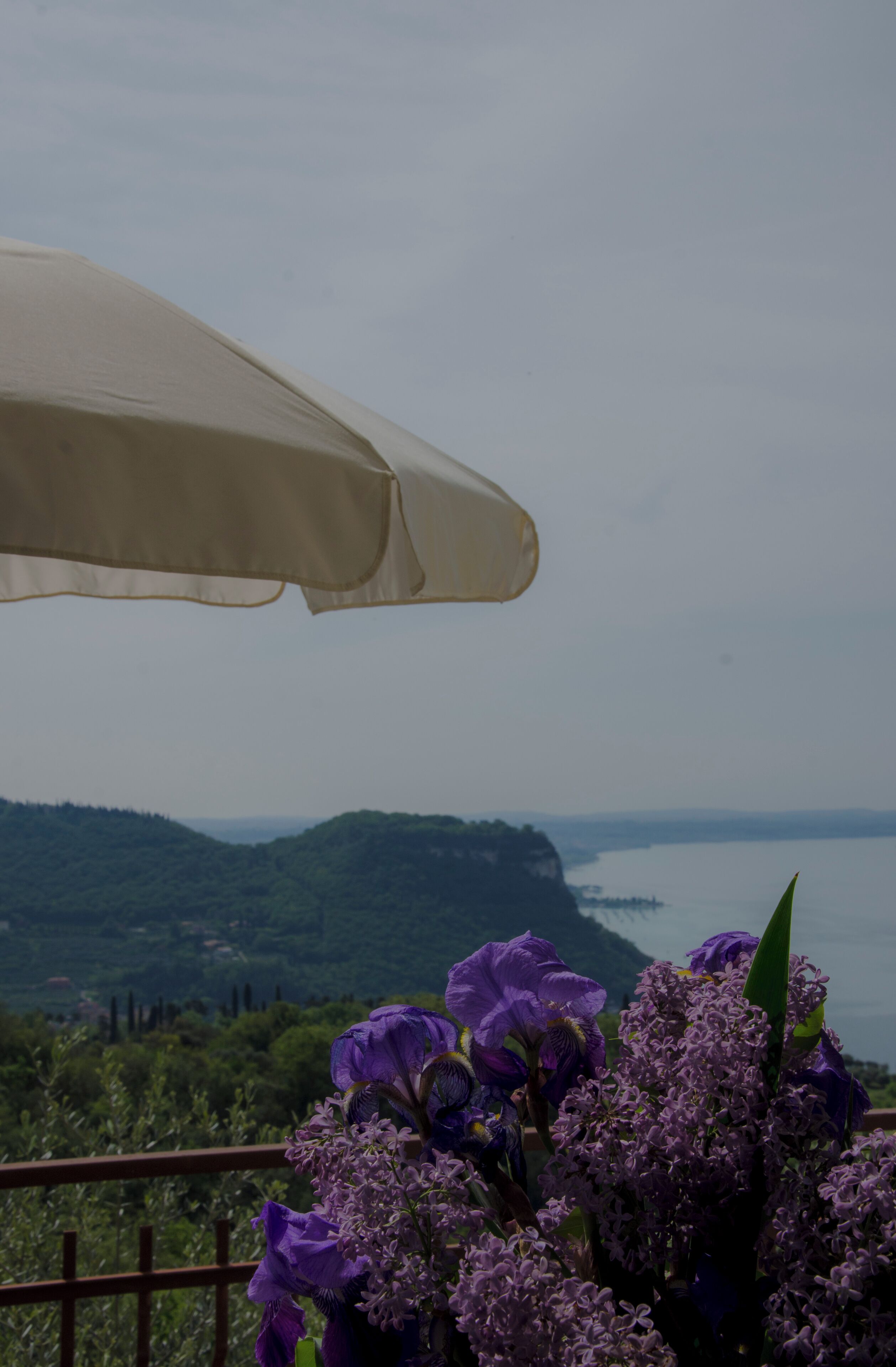 A balcony with a view of a body of water and hills, and a bouquet of purple flowers in the foreground.