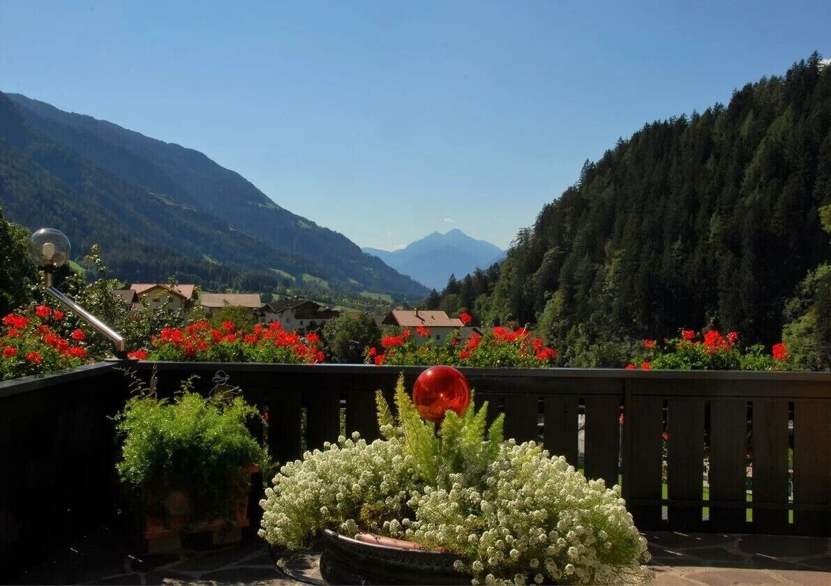 Un balcon orné de plantes en pot, un objet sphérique rouge et une vue sur un paysage montagneux.