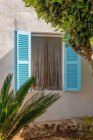 A window with blue shutters, a white wall, and a tree with green leaves.