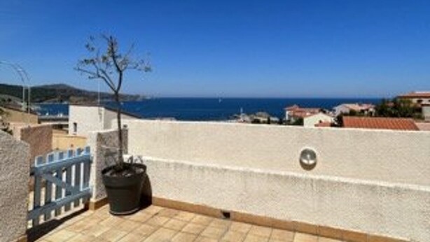 A balcony with a view of the sea, a potted plant, and a blue railing. - 2-room apartment with terrace and parking in Banyuls-sur-Mer (Banyuls-sur-Mer)