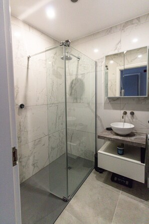 Regadera, secadora de cabello, toallas, papel de baño