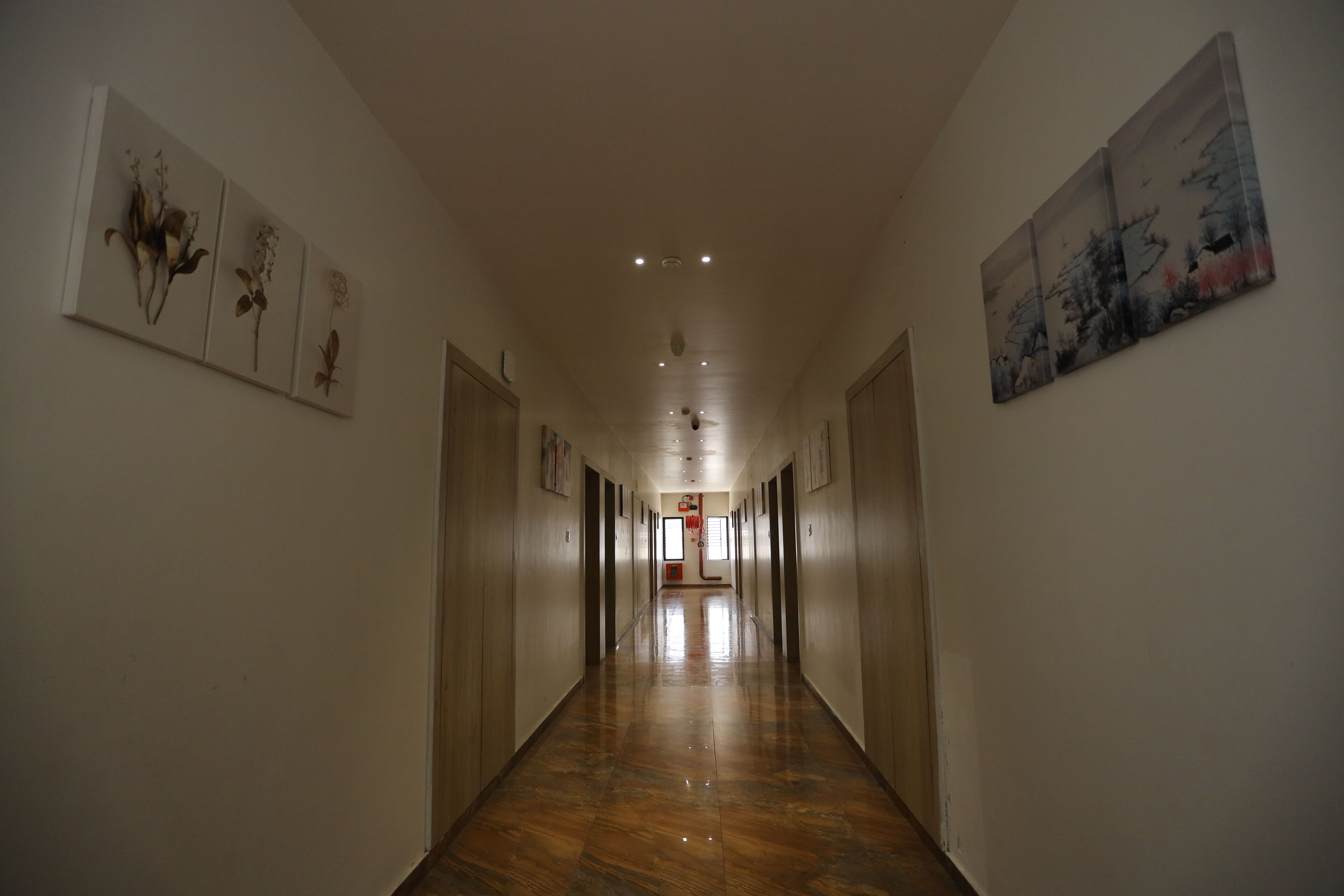 A long, narrow hallway with wooden flooring and white walls. There are three framed artworks on the left wall and one on the right wall. The hallway leads to a door at the end.