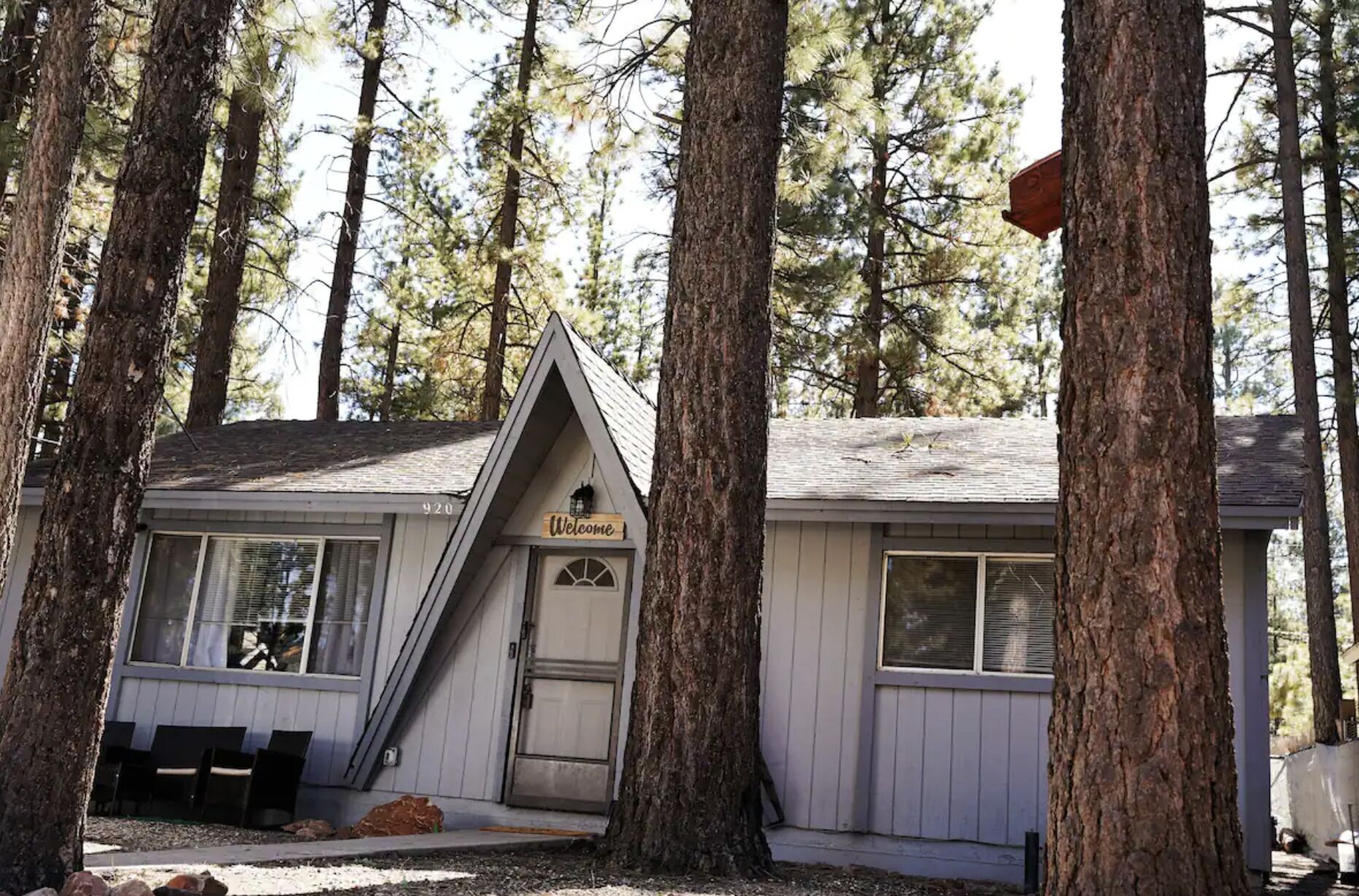 Cozy Cabin Dog Friendly