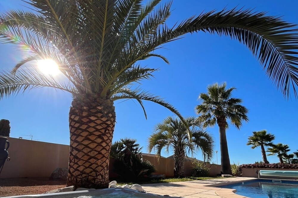 cottage palm trees