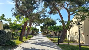 A pathway lined with trees and buildings, suggesting a residential or hotel area. - VOI Le Muse Essentia (Zambrone)