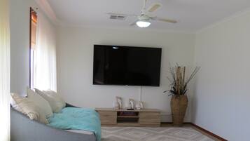 Smart-TV, DVD-Player