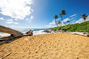 On the beach - Summer Deal Oceanfront Kapaa Condo with Pool and Glass Wall Views (Kapaa)