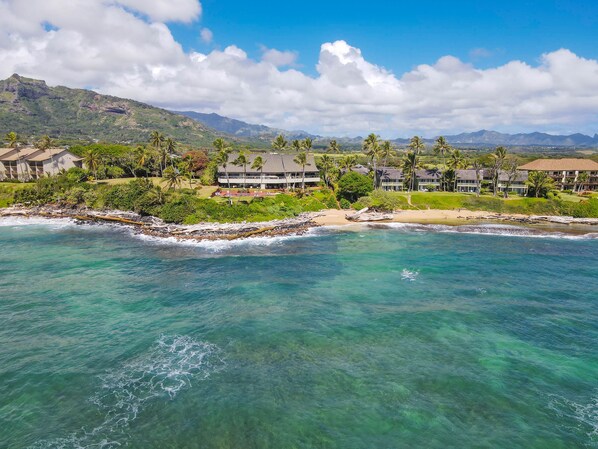On the beach - Hale Awa'puhi 1-C Oceanfront Luxury 2 BR w/ AC and Private Beach Access (Kapaa)