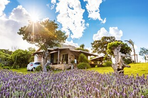 Una casa con fachada de piedra, rodeada de un jardín exuberante con flores moradas, y un cielo azul despejado.