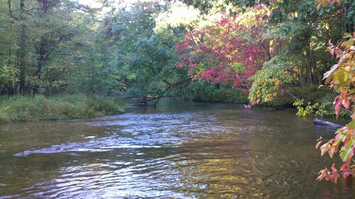Pere Marquette Lodge