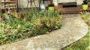 Een rustieke buitenruimte met een stoel, tafel en plantenpotten.