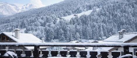 Terrain de l’hébergement