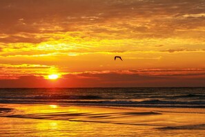 House (Salty Dog (1/1)) | Exterior - Salty Dog (Panama City Beach)