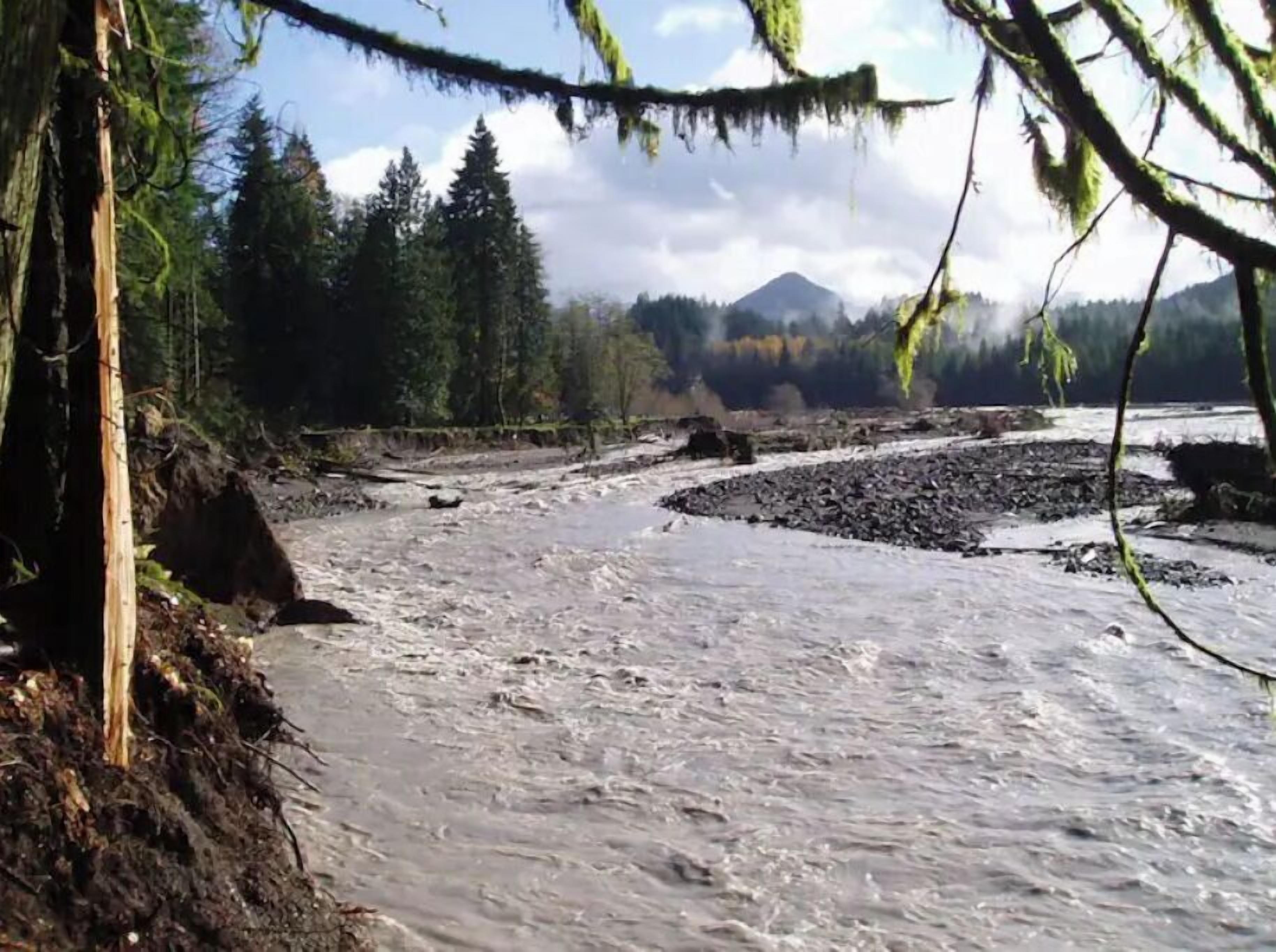 Un río con lecho rocoso, rodeado de árboles y una montaña al fondo.