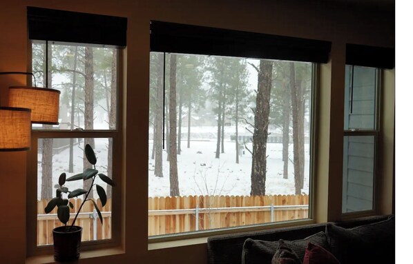 Interior - Blue Mountain Cabin Escape/AC/Pet Friendly (Flagstaff)
