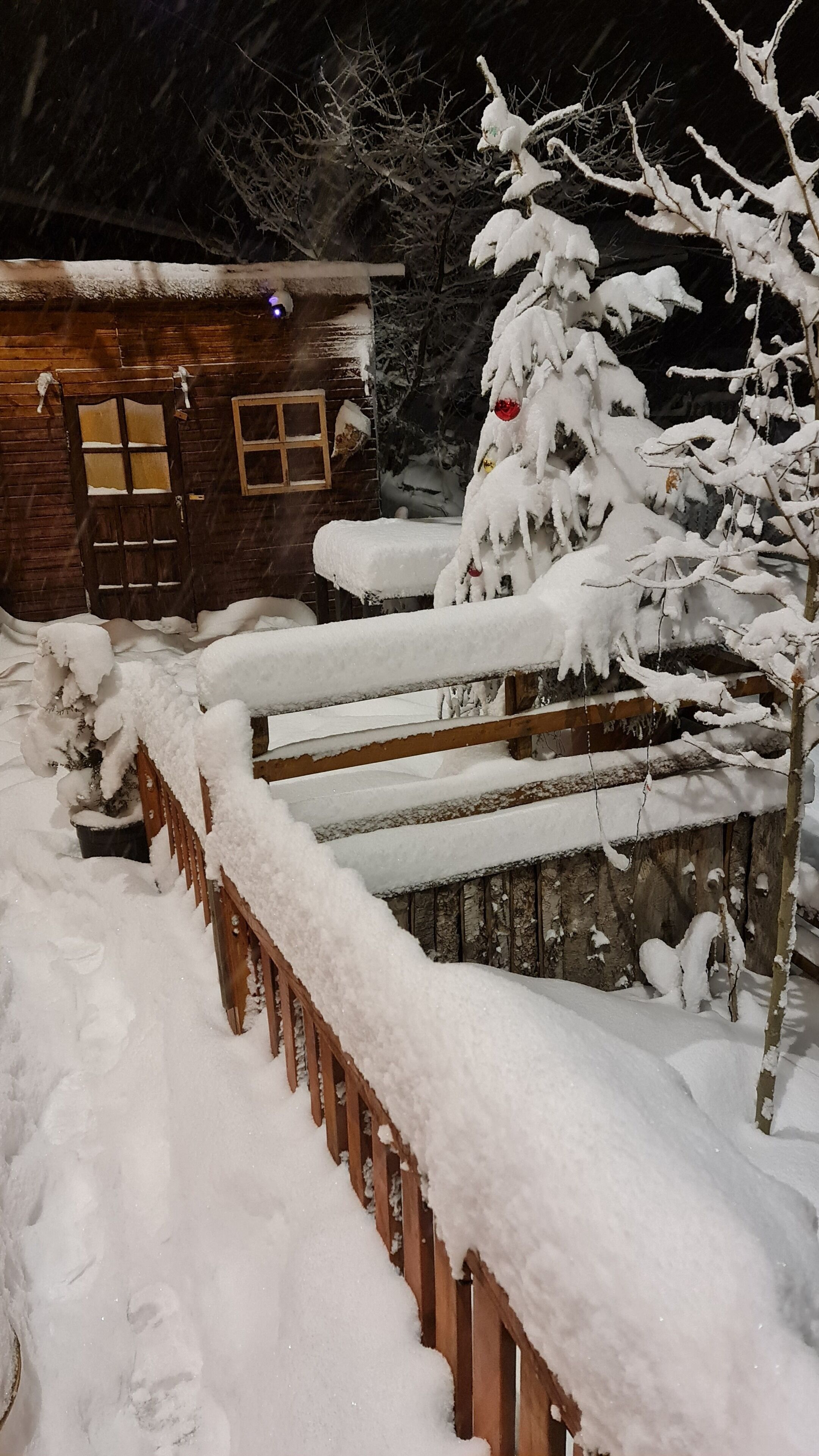 Ayder Yayla Bungalov