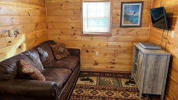 Smart TV, DVD player, books, video library