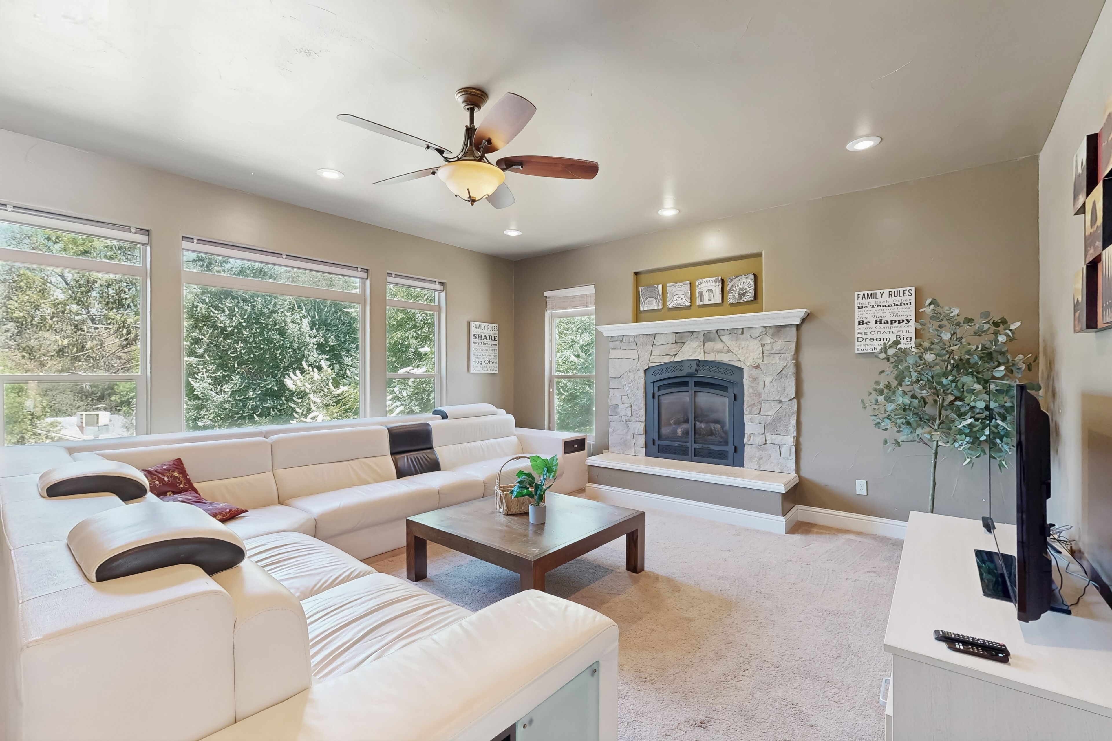 Televisie, een open haard en boeken