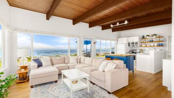 Smart TV, fireplace, DVD player, books