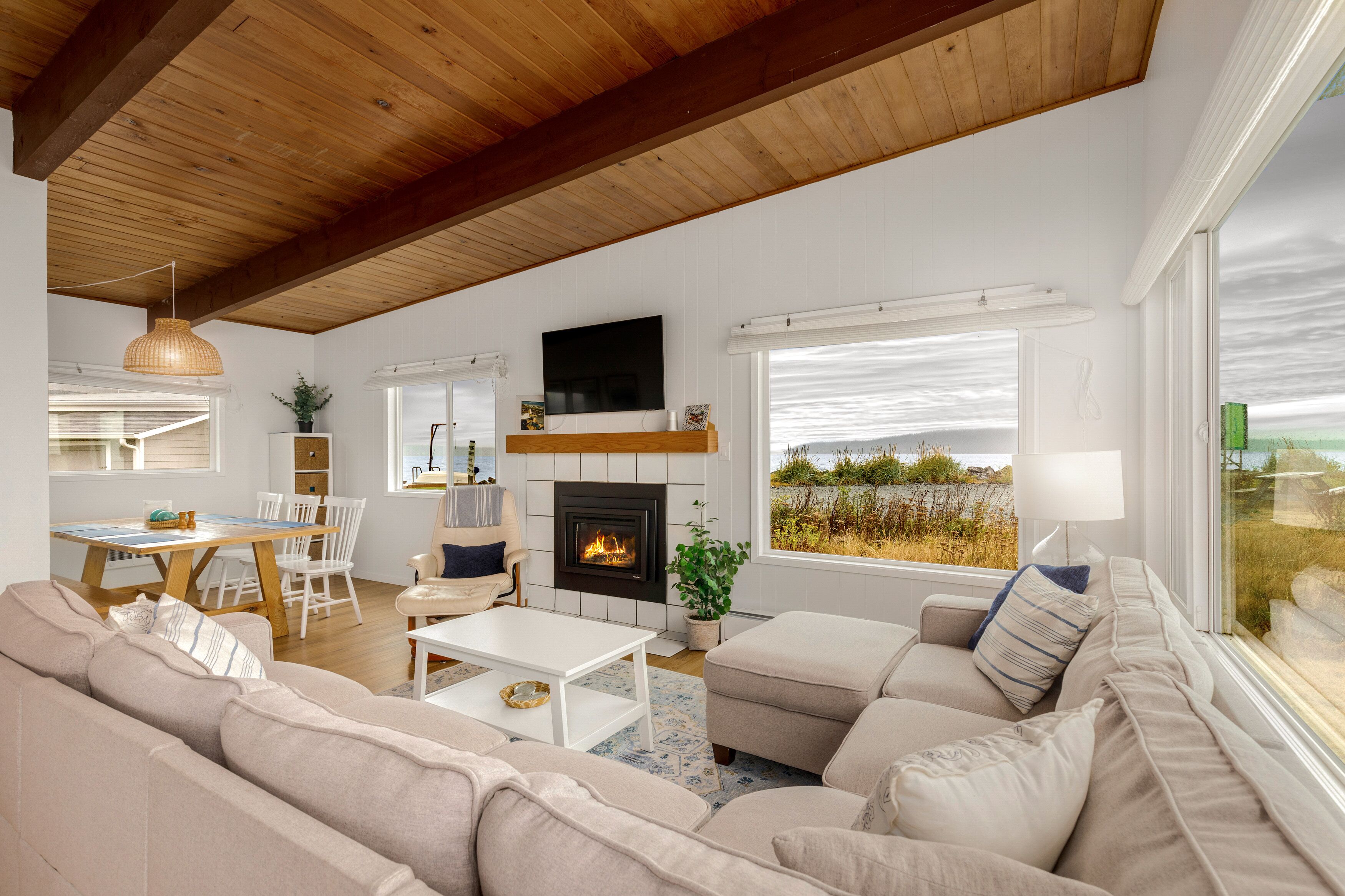 TV connectée, cheminée, lecteur de DVD, livres