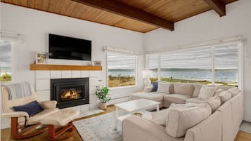 Una Smart TV, una chimenea, un reproductor de DVD, libros