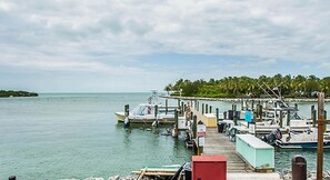 Stunning marina with boats docked at piers, surrounded by a lush island with palm trees and buildings.