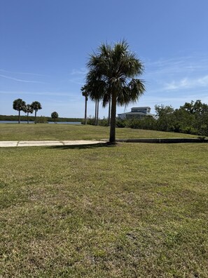 Property grounds - Myakka River (Venice)