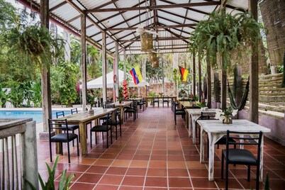 野生黑森林饭店餐厅