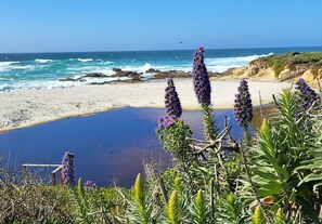 Beach nearby, sun-loungers, beach towels - Walk to town & beach! 4 bdrm sleeps 7, gated yard, 2 firepits, deck w/ocean view (Carmel-by-the-Sea)