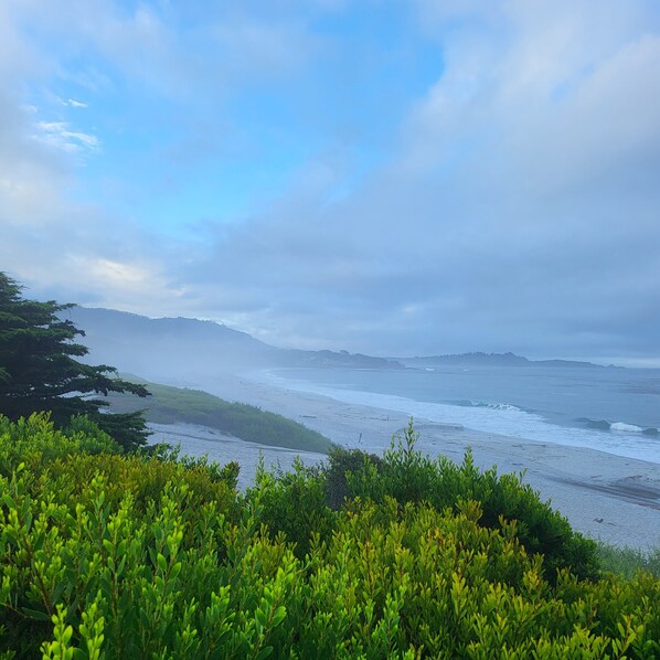 A coastal landscape with a view of the ocean and distant hills.