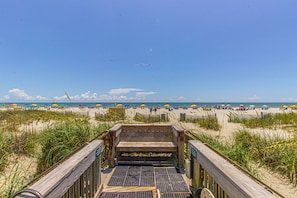On the beach