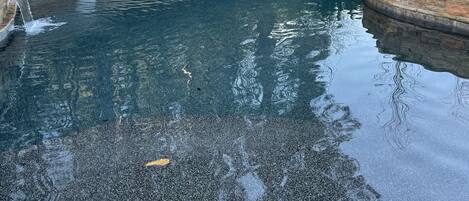 Ulkouima-allas, lämmitetty uima-allas